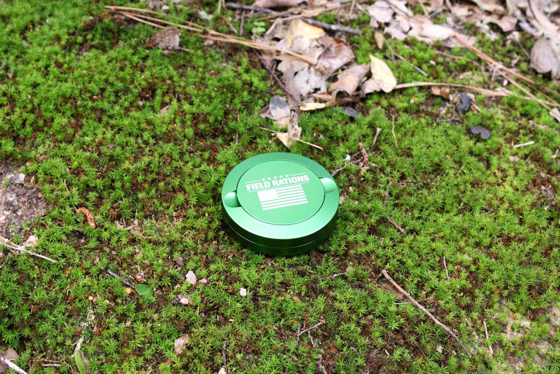 Green can on moss